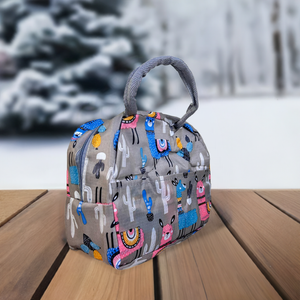 Amazing Cactus Design Portable Insulated Thermal Lunch Bag – Waterproof Cooler Bag (Grey, 3L)